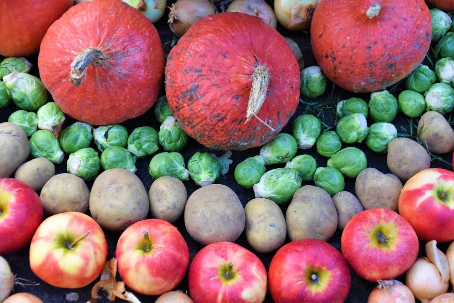 A harvest of fresh vegetables and produce